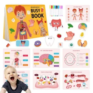 Human Body Busy Book - Preschool, Kindergarten